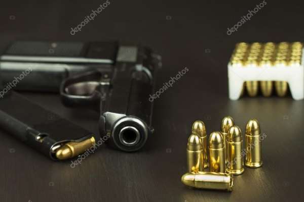 Revere Gun Range